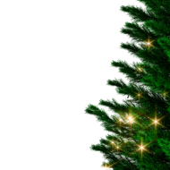 Sztuczna choinka RUDOLPH z lampkami, 150 cm, zielona