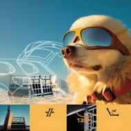 Transporter dla psa BRUNO, 89x70x51cm, srebrna/czarna