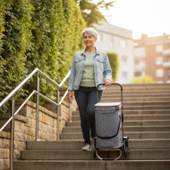 Torba na zakupy na kółkach do schodów COMFORT, 50l, szara