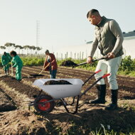 Ocynkowana taczka BARRY, max. pojemność 100l/250kg, srebrna/czarna