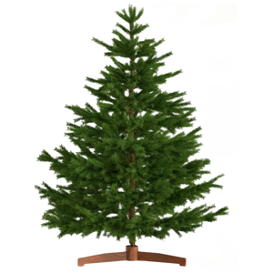 Sztuczna choinka FROST, 180 cm, zielona